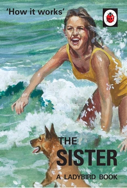 The Ladybird Book Of The Meeting (Ladybirds For Grown-Ups) By Jason Hazeley And Joel Morris ISBN 9780718184377