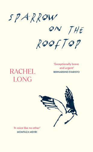 Rachel Rear Sparrow on the Rooftop