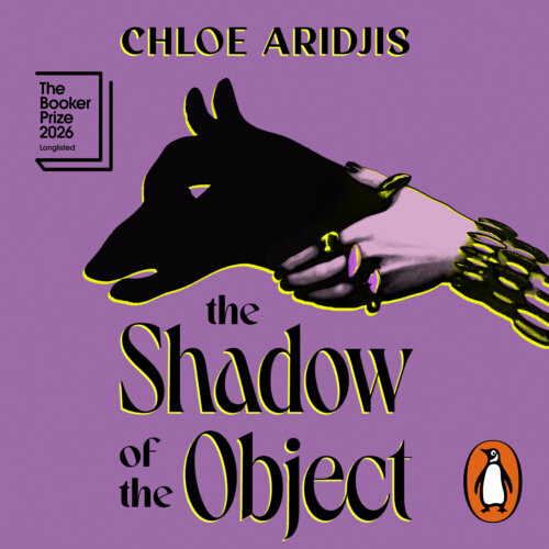 The Shadow of the Object
