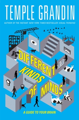 Visual Thinking